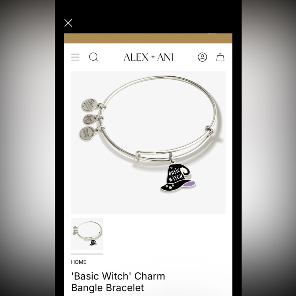 Alex and Ani 'Basic Witch' Charm Bangle Bracelet silver Charm Bangle Bracelet